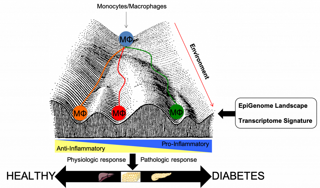 Epigenome landscape