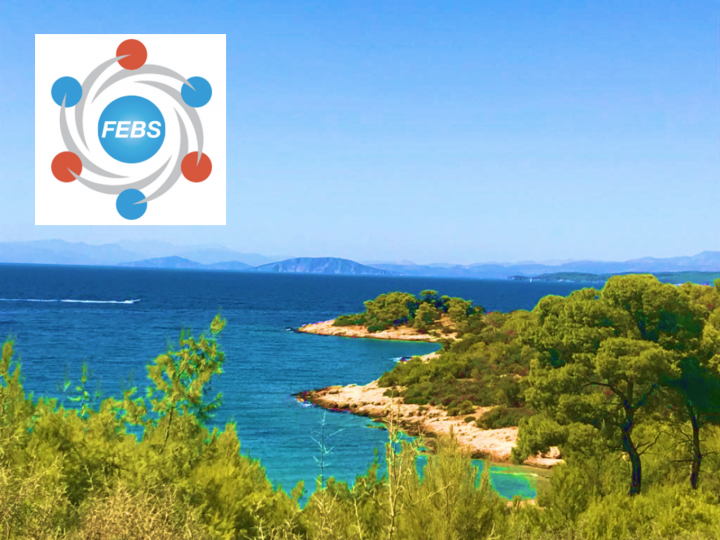 FEBS Advanced Course 2019