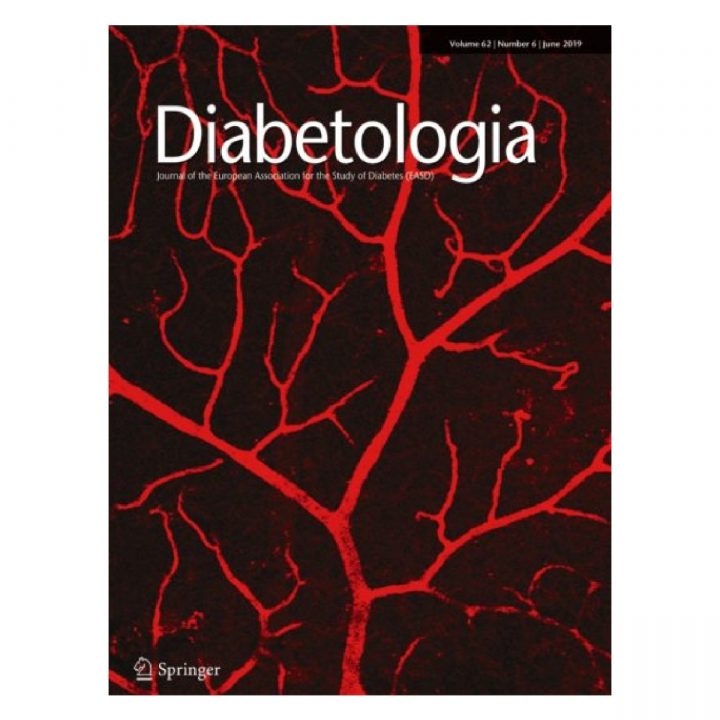 L. Potier publishes in Diabetologia