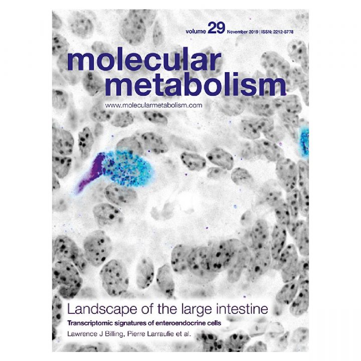 F. Fumeron publishes in Mol Metab