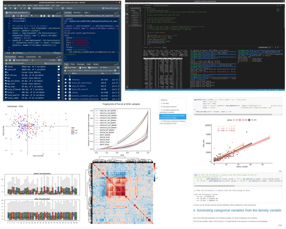 A screenshot composition of an Rstudio session, code in bash, an .Rmd notebook published in html, graphs and statistics.