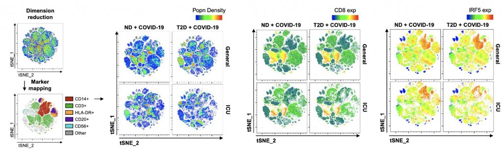 t‐SNE mapping of all cytometric acquired data with projections of population density, CD8 or IRF5 expression.