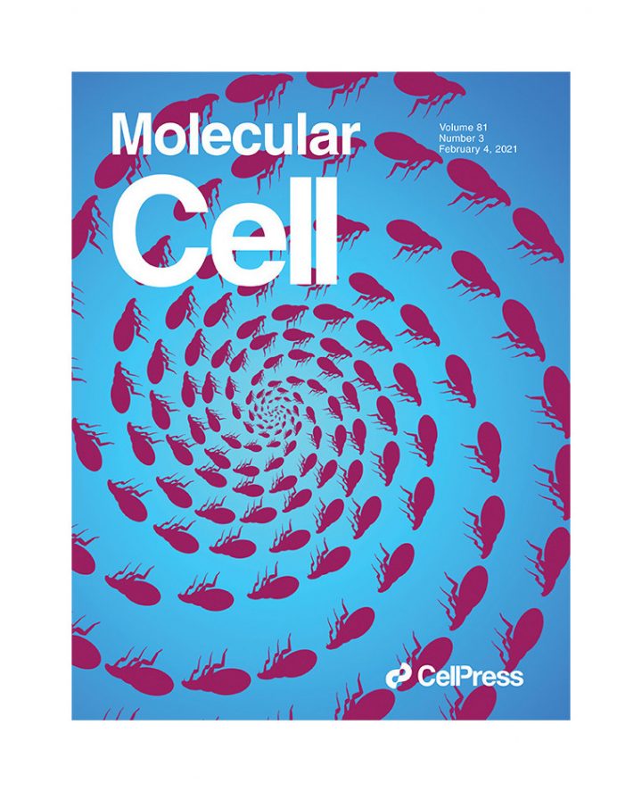 Ballaire & Venteclef publish in Mol. Cell