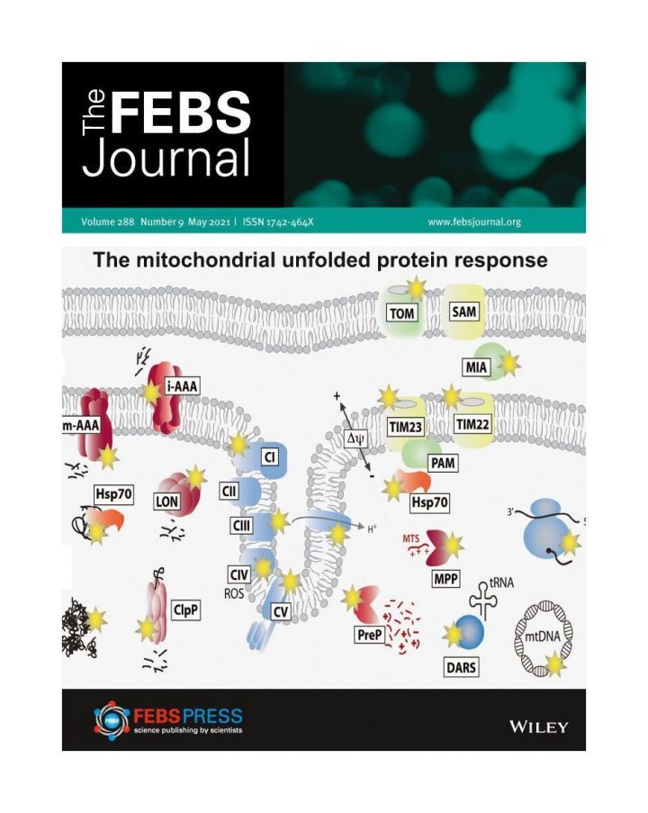 Alzaid & Thibaut publish in FEBS